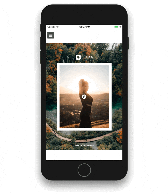 icon_on_mobile